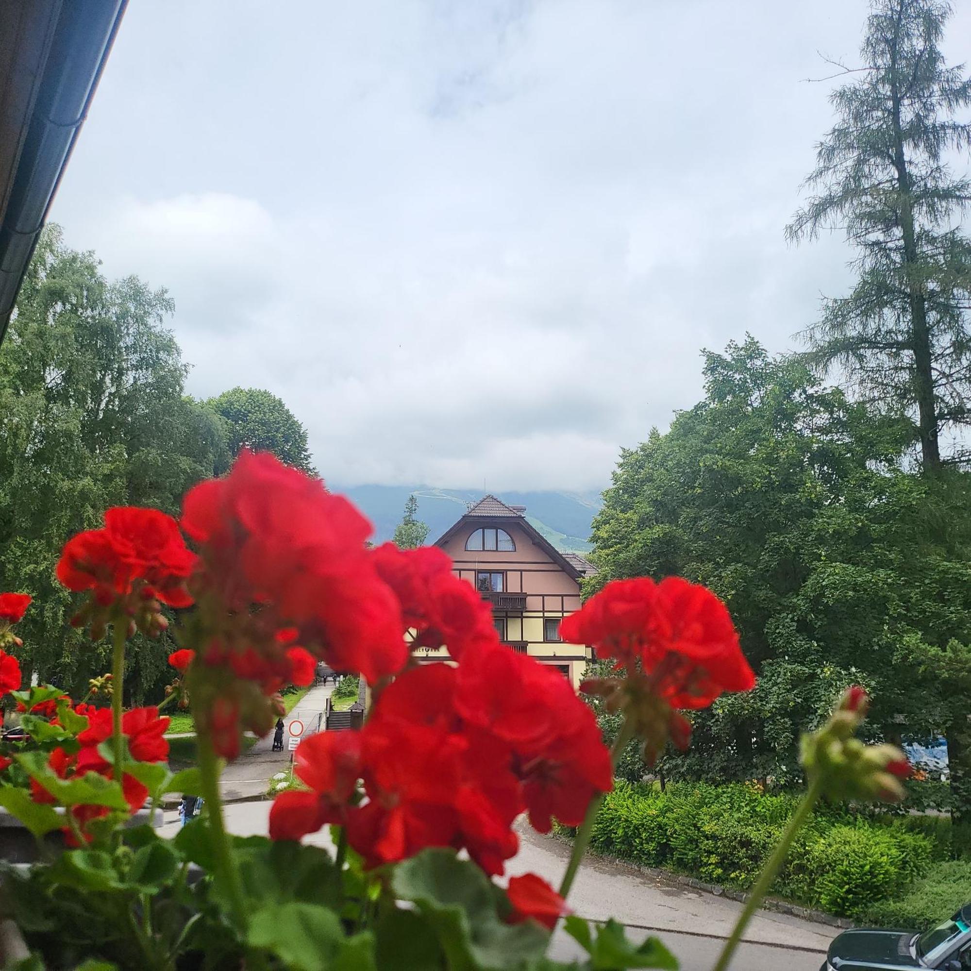 Penzion Slalom Tatranská Lomnica المظهر الخارجي الصورة